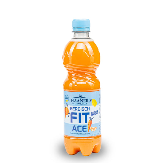 Haaner Felsenquelle Bergisch Fit ACE 0,5L PET